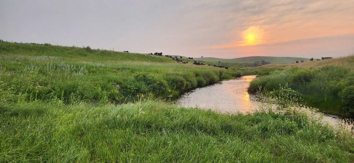 sunset over stream